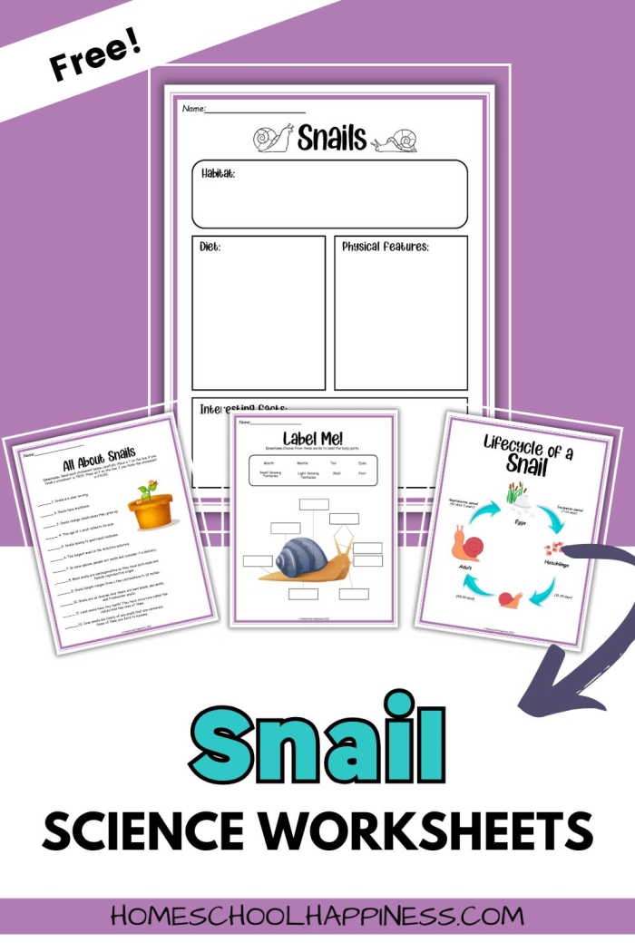 Snail themed division practice worksheet for third grade students 7 Third grade math worksheet featuring division problems with a friendly snail illustration