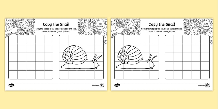 Snail Division Worksheet 21 for Elementary Math Practice A friendly snail guides third graders through division practice problems on a colorful math worksheet