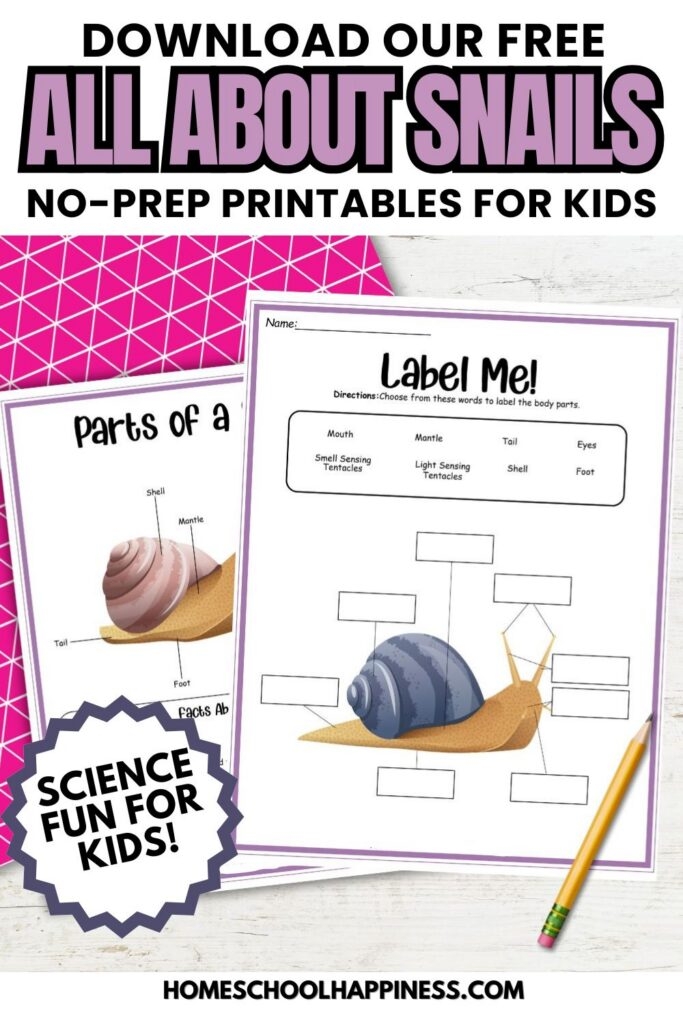 Snail themed division practice worksheet for third grade students 6 Third grade math worksheet featuring a friendly snail character for division practice