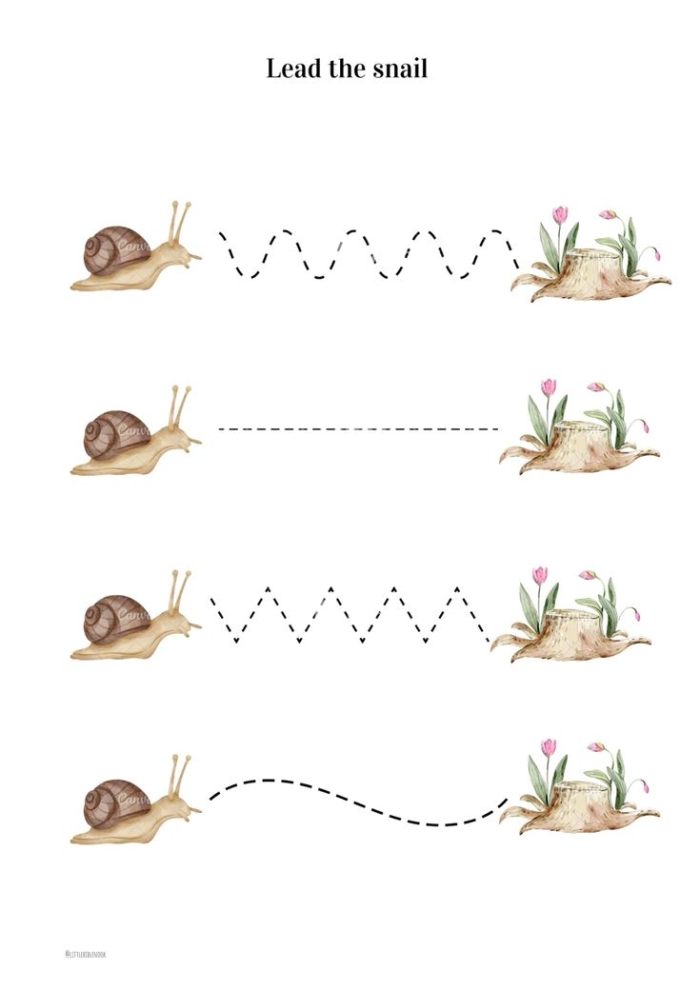 Snail Division Practice Math Worksheet for Grade 3 Students A friendly snail character helps third graders solve division math problems on this colorful worksheet
