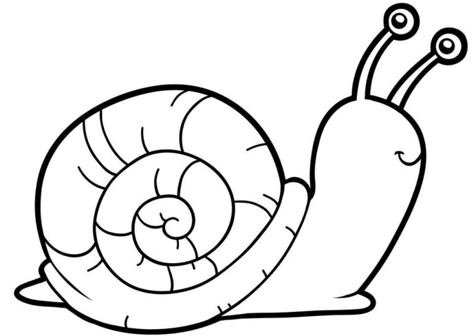 Snail themed division practice worksheet for third grade students 4 Third grade math worksheet featuring division problems and a cute snail character