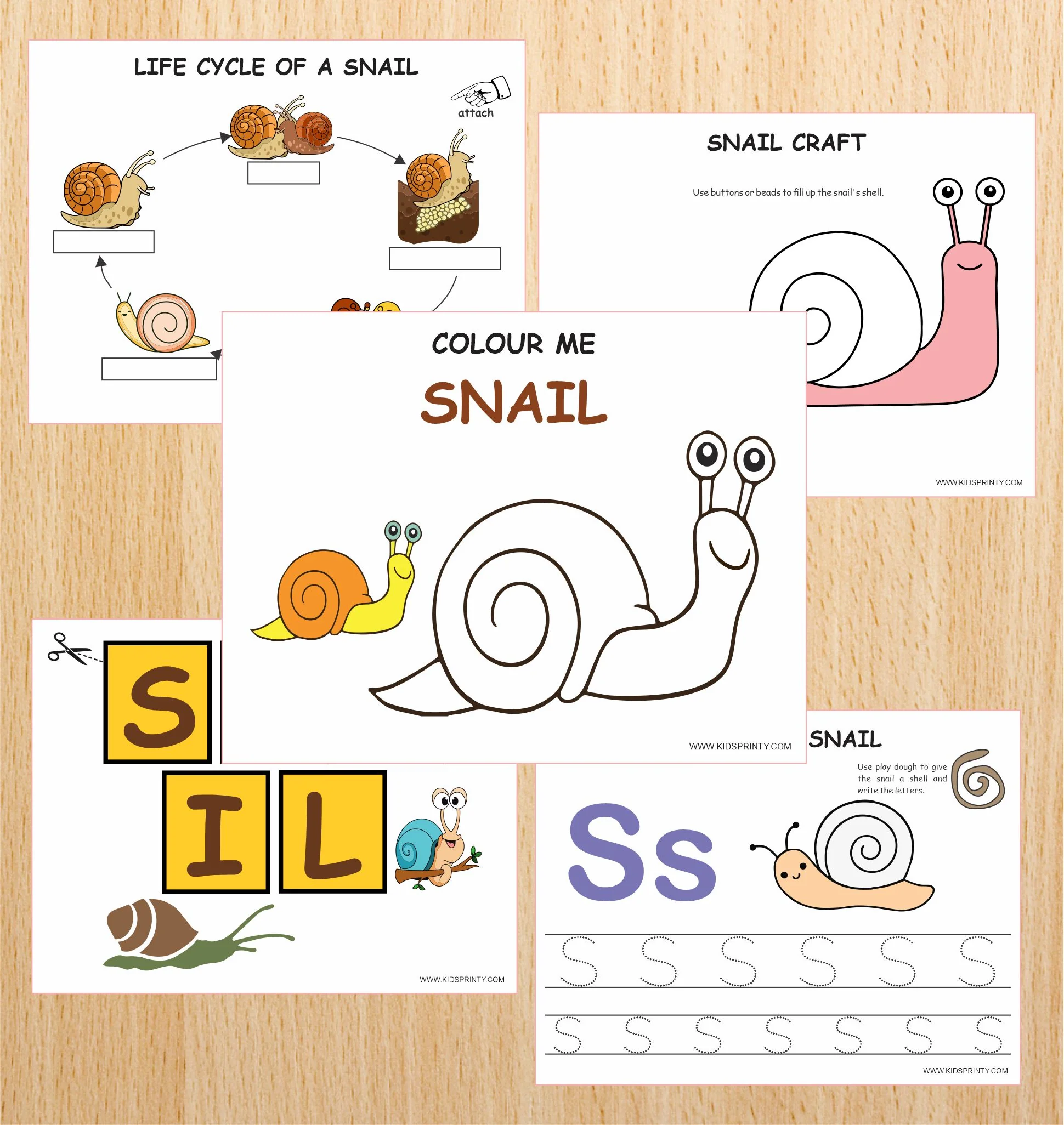 Snail Themed Division Practice Worksheet 18 Third grade math worksheet featuring division problems with a friendly snail theme