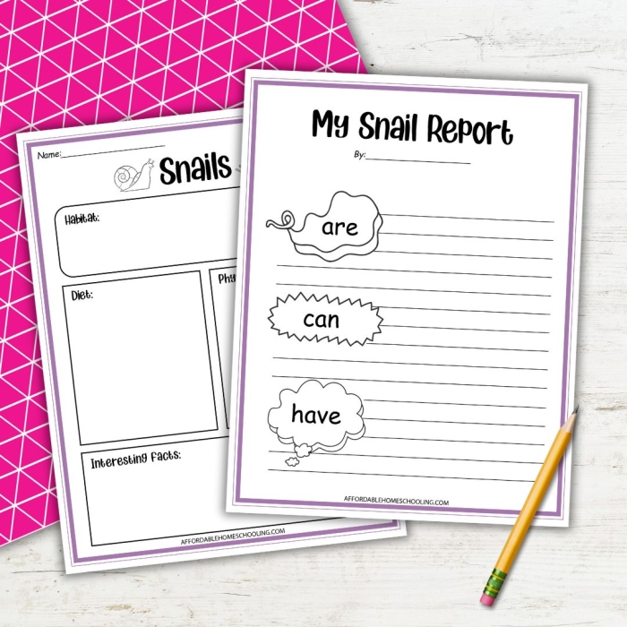 Snail Division Practice Worksheet 10 for Elementary Math Learners A friendly snail character helps third graders solve ten division math problems on this colorful worksheet