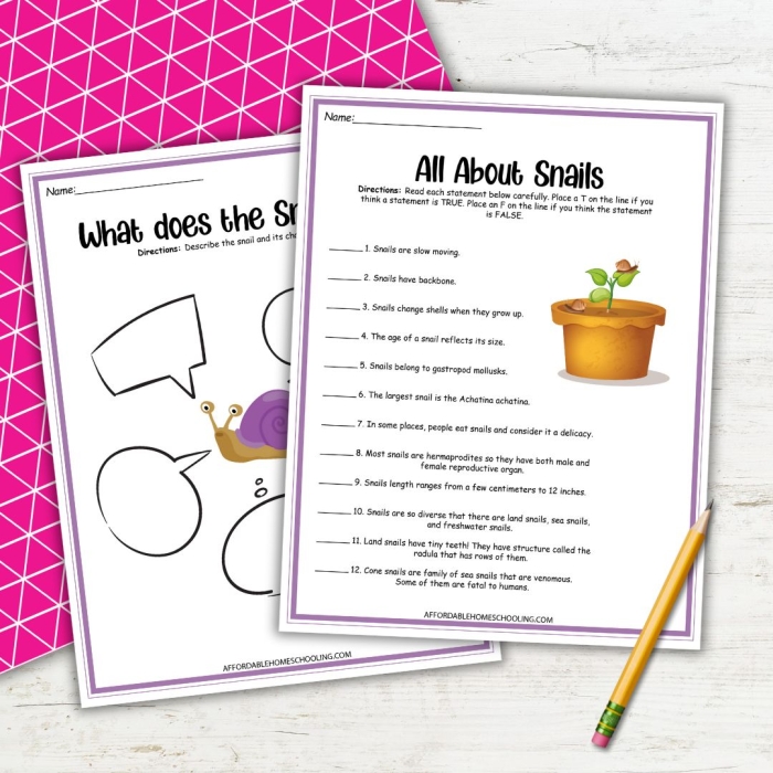 Snail Themed Third Grade Division Worksheet Number 8 A third grade student solving math problems on a snail division worksheet