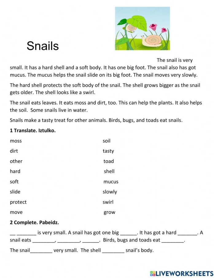 Snail Division Worksheet Number 14 for Grade 3 Math Practice Third grade math worksheet featuring division problems with a cute snail theme