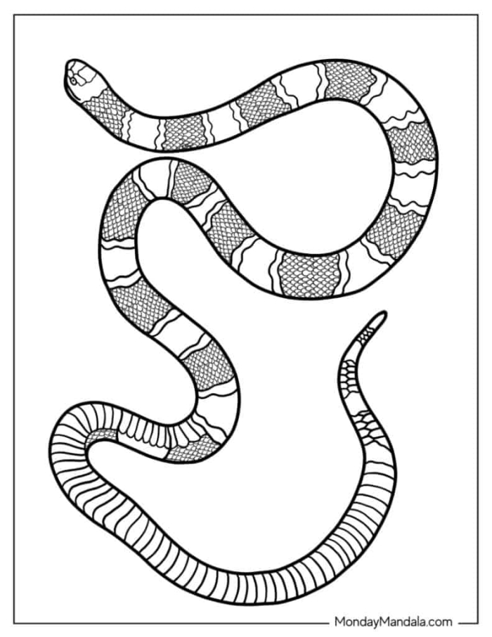 Coloring worksheet featuring hidden snakes for kids to reveal patterns