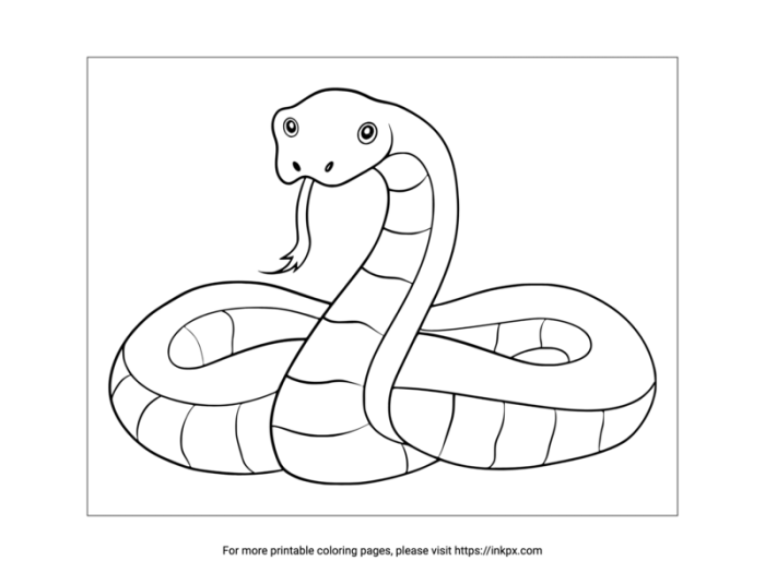 A Pre-K worksheet featuring patterned snakes that children can color to practice logic and writing skills