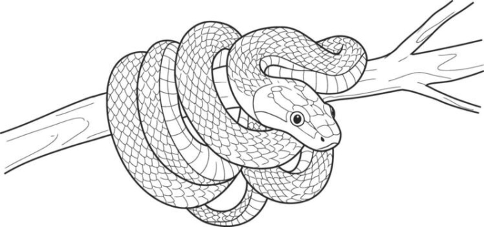 Pre-K worksheet featuring patterned snakes for children to color and solve