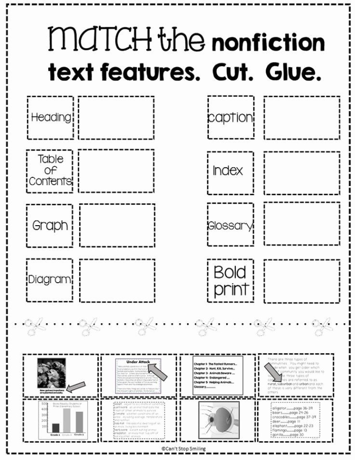 Soccer: Nonfiction Reading Practice for Geometry Students Nonfiction text worksheet on soccer for fourth graders focusing on evidence-based reading skills