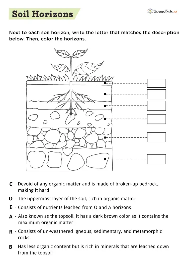 Second grade student working on a science worksheet about the formation and composition of soil