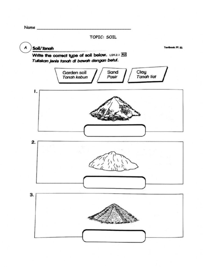 Second grade earth science worksheet about soil formation for young students