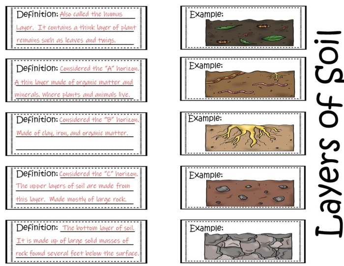 Second grade student reading worksheet about soil composition and formation with illustrations and comprehension questions