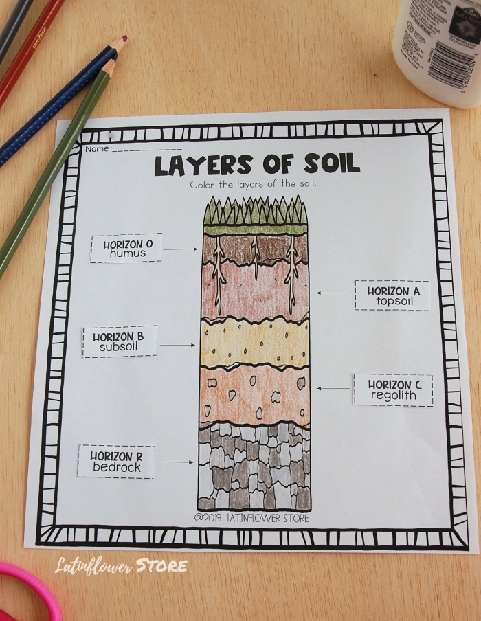 Diagram showing the different layers of soil from topsoil to bedrock for second grade earth science learning