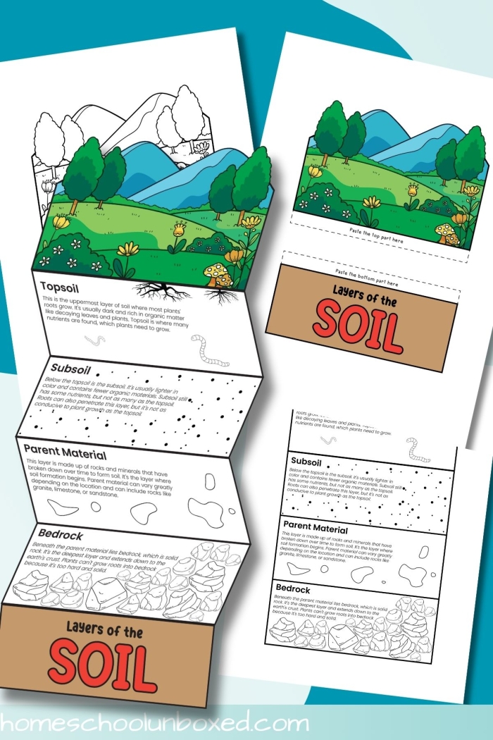 Second grade science worksheet illustrating the different layers of soil for classroom study