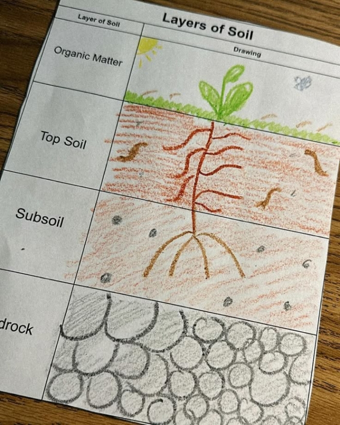 Diagram showing the different layers of soil from topsoil to bedrock for second grade earth science students