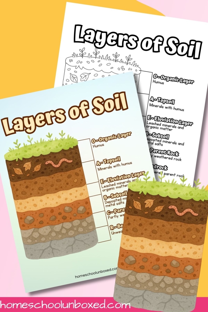 Second grade student practicing earth science by labeling the different layers of soil on a worksheet