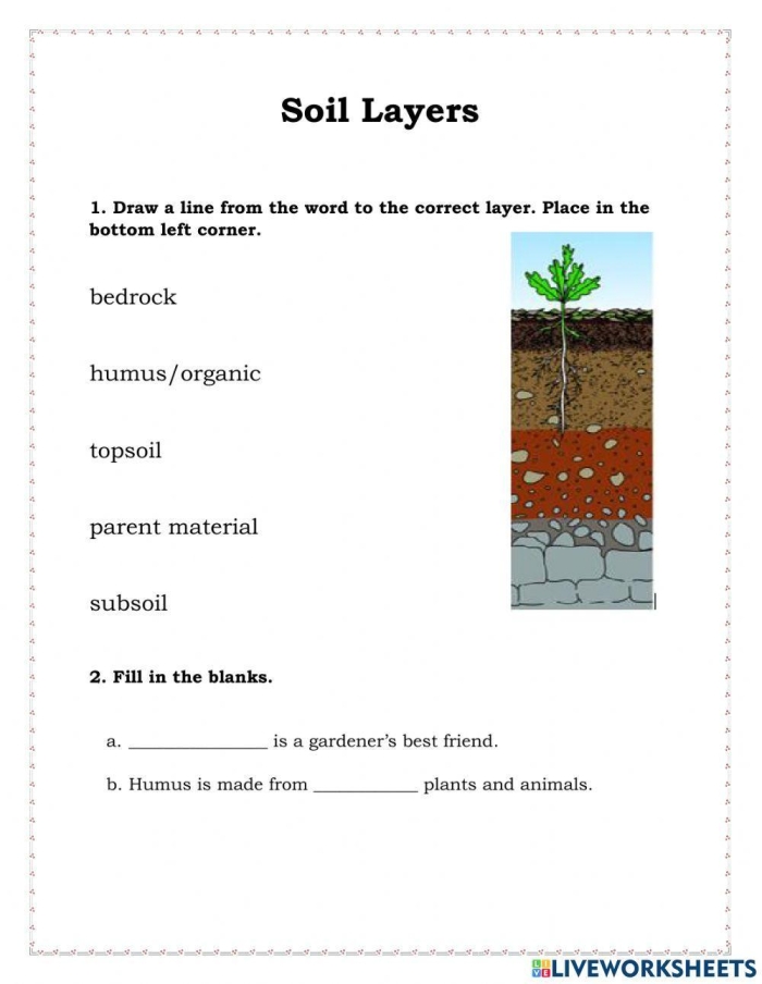 Second grade Earth science worksheet showing the different layers of soil for students to label