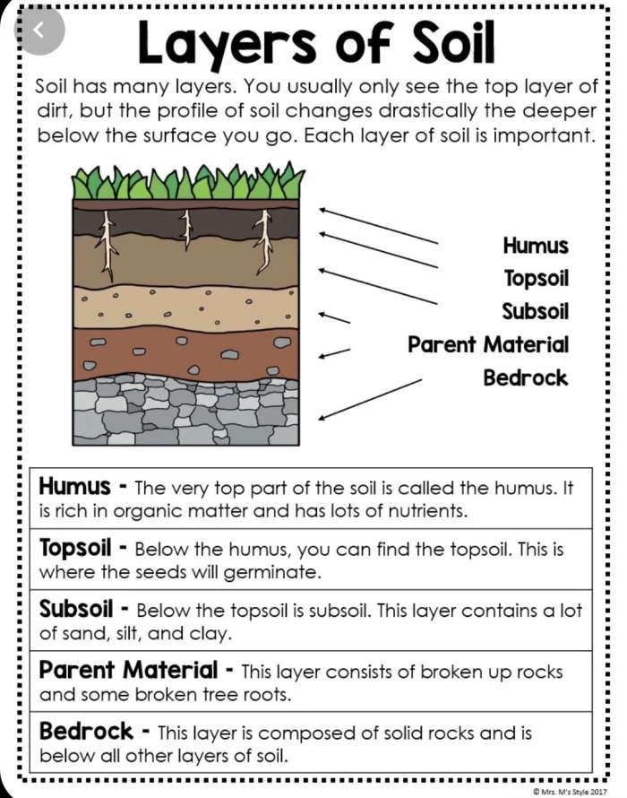 Illustration of soil layers showing topsoil, subsoil, and bedrock with labels for a second grade science worksheet