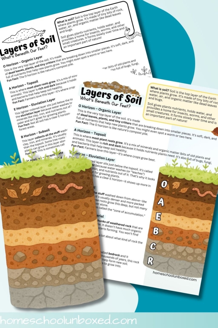Soil Layers worksheet for Second Grade