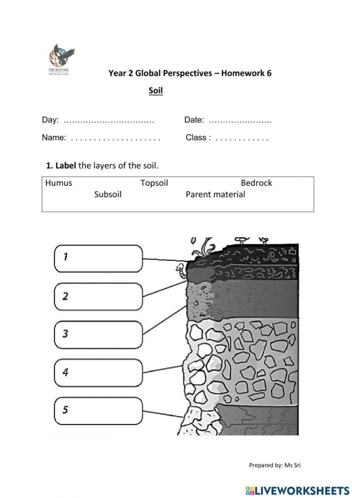 Second grade student filling out a colorful worksheet about the different layers of soil