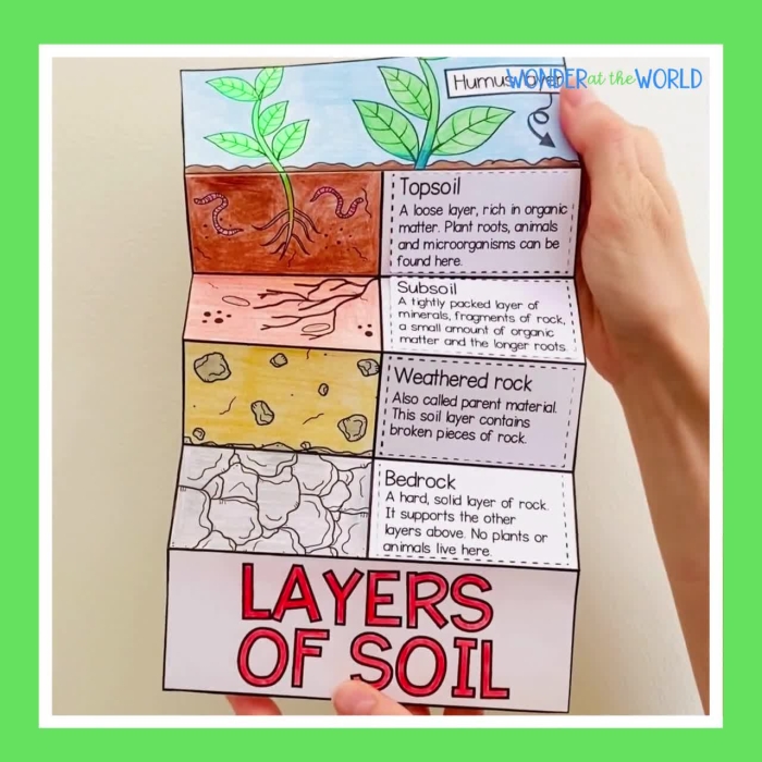 Soil Layers worksheet for second grade earth science students
