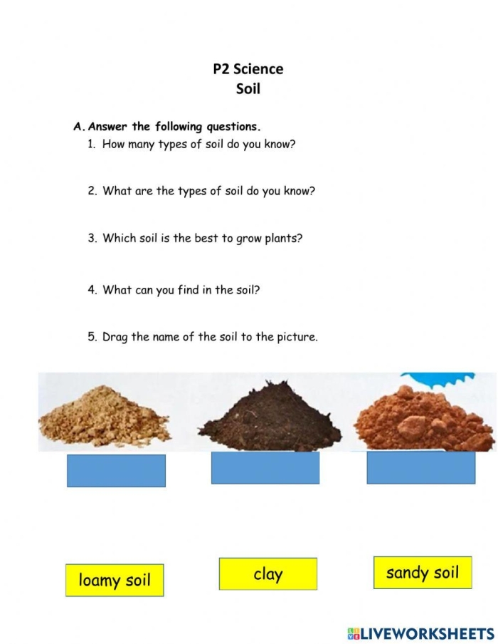 Second grade student completing a soil science worksheet with reading comprehension questions about earth and dirt formation