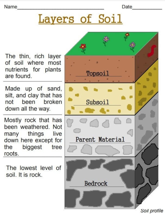Second grade science worksheet about the components and formation of soil