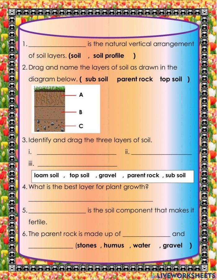 A second grade student learning about earth science on the What is Soil worksheet