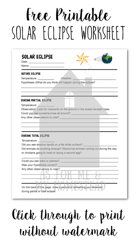 A sixth grade student completes a reading worksheet about the phases and science of solar eclipses.