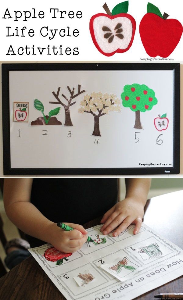 Matter Mixup What is a Solid Physical Science Worksheet for Second Grade 20 Second grade science worksheet for students to identify common solid objects in a lesson on states of matter