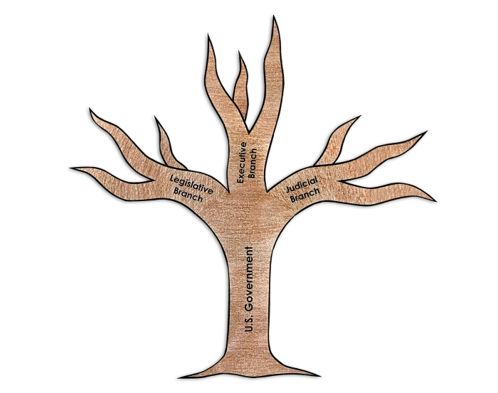 A colorful worksheet designed for third graders to match roles with the branches of government