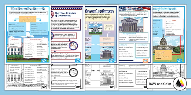Third grade students completing a fun worksheet to sort government roles into legislative executive and judicial branches