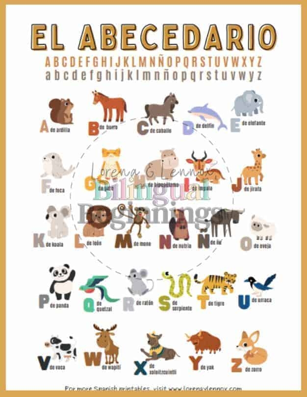 Engaging Spanish alphabet activity focusing on the letter "A" for early readers Colorful worksheet featuring the letter "A" from the Spanish alphabet for first graders