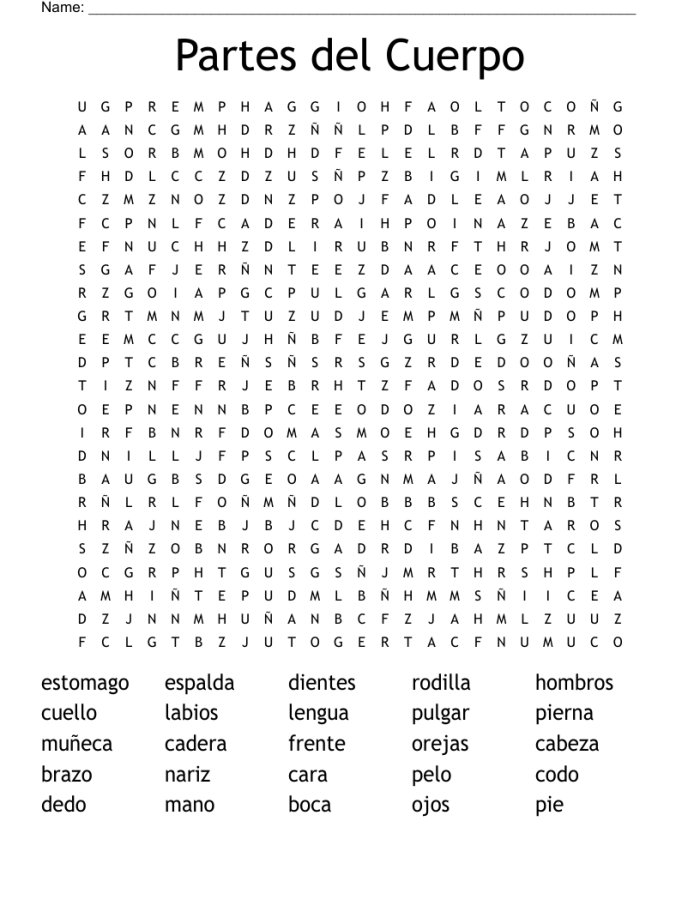 Partes del Cuerpo Learning Activity 23 - Spanish Body Parts Vocabulary Practice Fourth grade Spanish worksheet showing labeled diagrams of human body parts with vocabulary words and pronunciation guide for learning partes del cuerpo