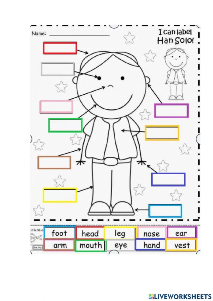 Spanish body parts spelling and pronunciation exercise 13 Fourth grade worksheet for learning Spanish body parts vocabulary