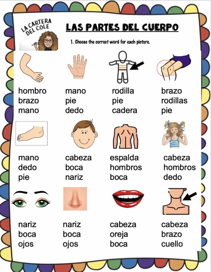 Partes del Cuerpo Spanish vocabulary exercise for fourth graders 24 Fourth grade Spanish worksheet for learning and practicing body parts vocabulary