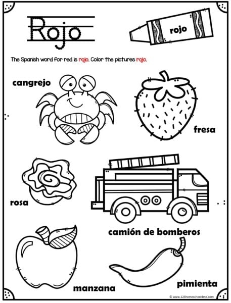 Spanish Colors Learning Activity with Visual Examples for Elementary Learners Colorful illustration showing Spanish color words with matching colored objects for second grade students