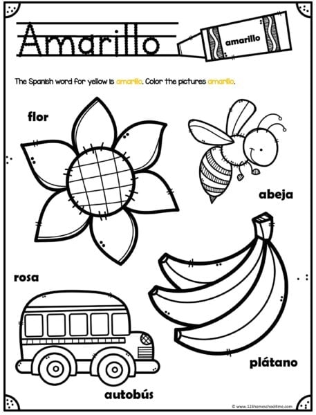 Colors in Spanish Learning Activity for Elementary Students Second grade students learning Spanish color vocabulary with bright visual examples and practice exercises