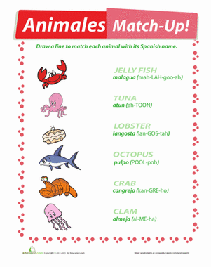 Fourth grade Spanish worksheet featuring illustrations and names of various ocean animals