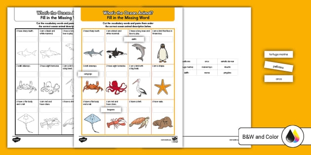 Fourth grade student worksheet featuring illustrations of various sea creatures labeled with Spanish vocabulary