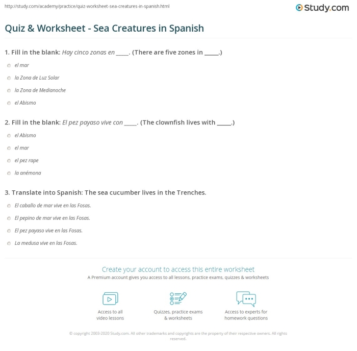 Fourth grade Spanish worksheet featuring various ocean animals to label in Spanish