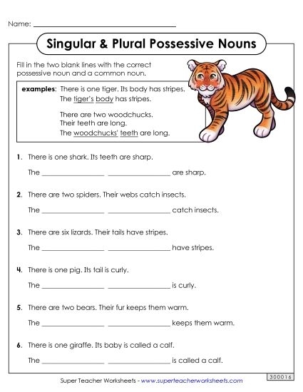 Worksheet for practicing plurals and possessives in spelling for sixth graders