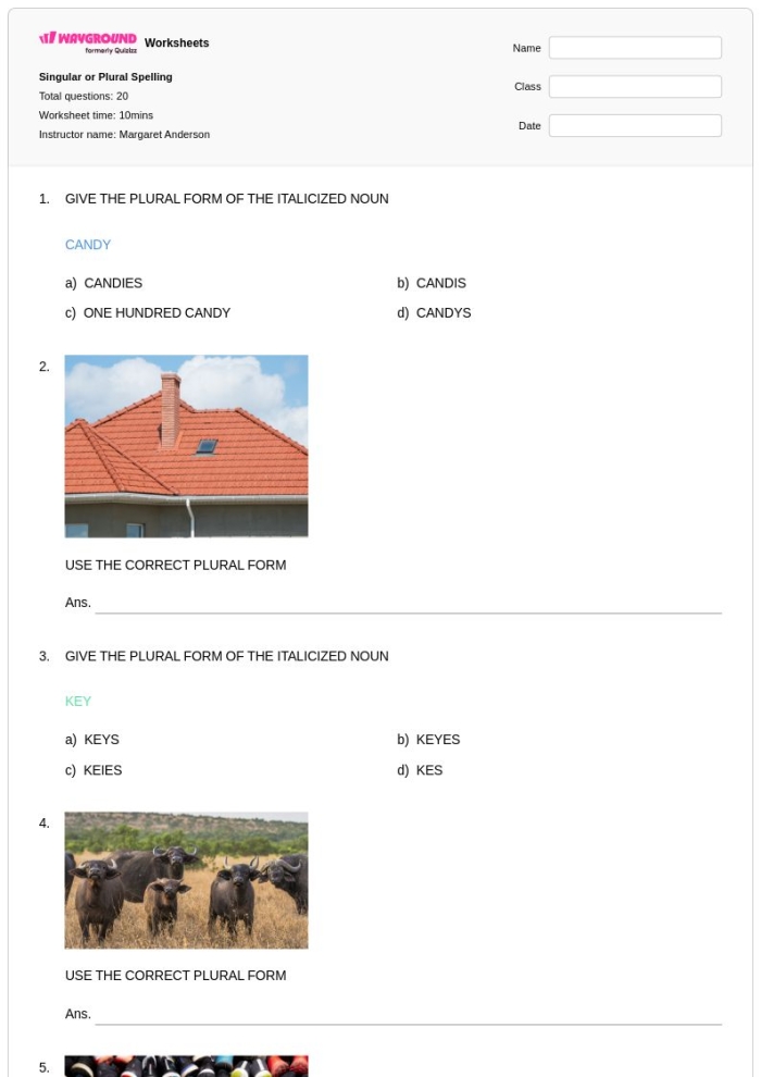 Sixth grade grammar worksheet focusing on spelling rules for plurals and possessives
