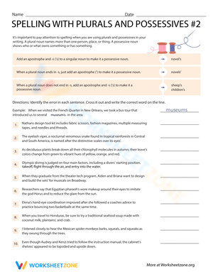 Sixth grade grammar worksheet focused on mastering plural and possessive spelling patterns