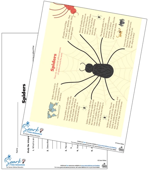 Educational worksheet image illustrating spider anatomy and web structure for young learners Spiders and Their Webs worksheet for second graders featuring a diagram to fill in anatomical terms