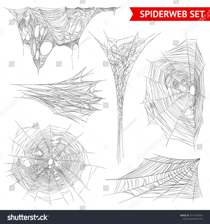 Educational activity image for young scientists focused on spider anatomy and web construction Spiders and Their Webs worksheet for second graders featuring a diagram for labeling anatomical terms