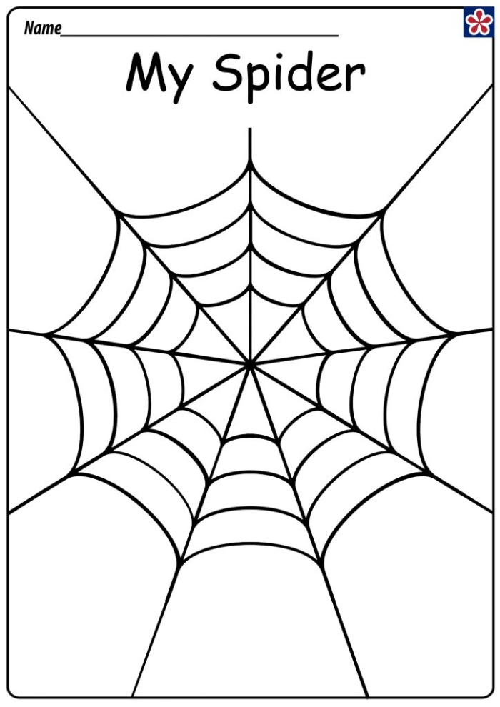 Engaging science worksheet illustrating spider anatomy and web details for young learners Spiders and Their Webs worksheet for second graders featuring a diagram for anatomical terms