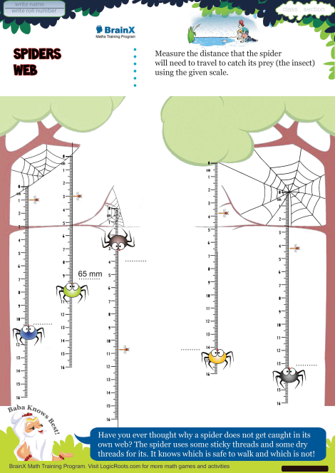 Spider Web Angles Worksheet 24 Geometry Activity Spider Web Angles geometry worksheet featuring Simon the Spider creating 90 degree corners