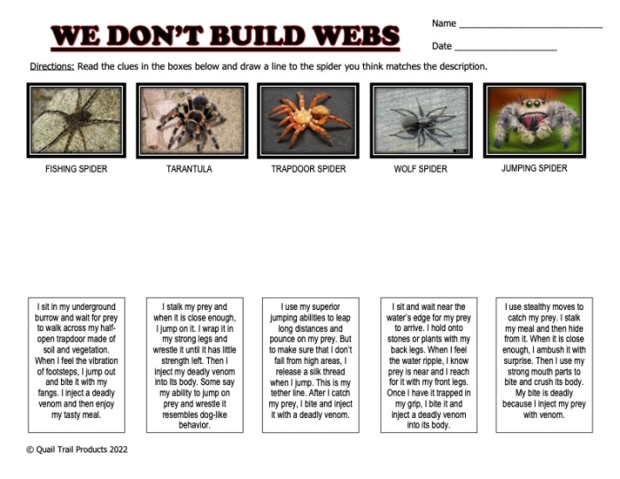 Simon the Spider Halloween Geometry Worksheet 15 Spider Web Angles worksheet featuring Simon the spider and 90 degree geometry exercises