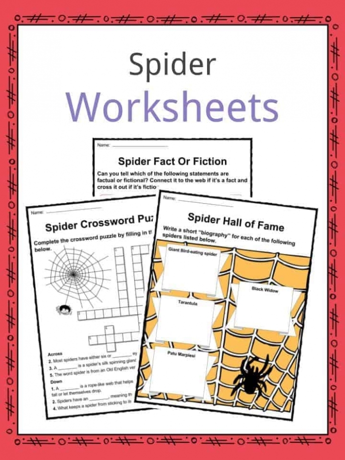 Educational image illustrating a spider anatomy activity for young learners Spiders and Their Webs worksheet for second graders with a diagram to fill in